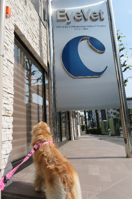 ファイル 6228-1.jpg