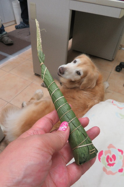 ファイル 6229-1.jpg