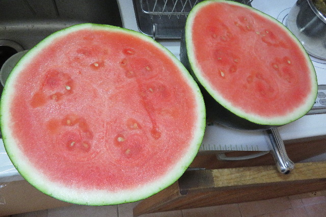 ファイル 6229-2.jpg