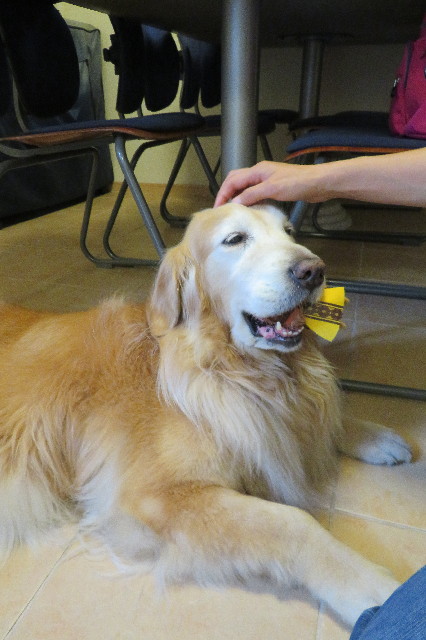 ファイル 6229-5.jpg