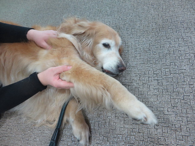 ファイル 6232-2.jpg