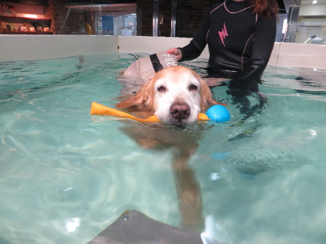 ファイル 6232-3.jpg