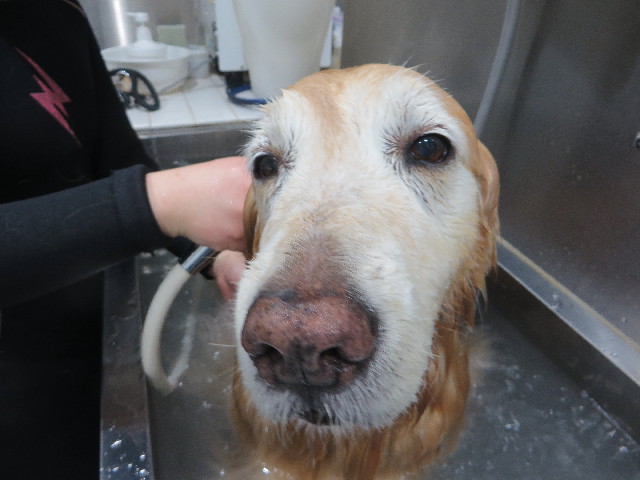 ファイル 6232-5.jpg