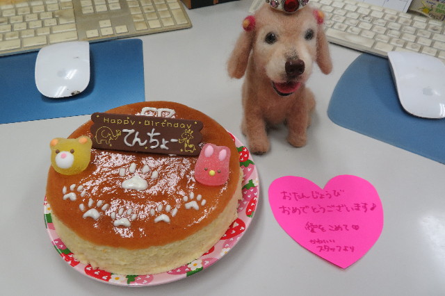 ファイル 6233-1.jpg