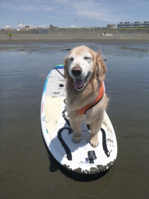 ファイル 6236-3.jpg