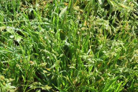 ファイル 6237-1.jpg