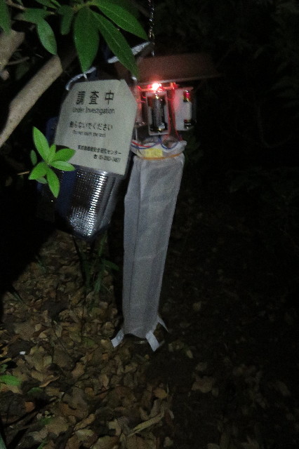 ファイル 6239-3.jpg