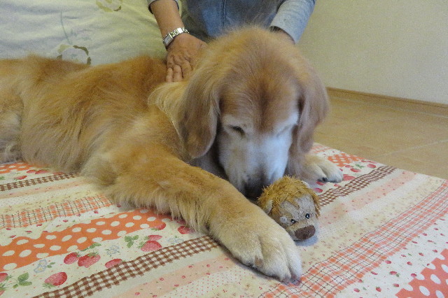 ファイル 6239-4.jpg