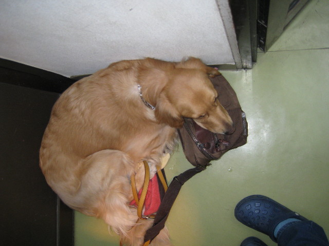 ファイル 624-5.jpg