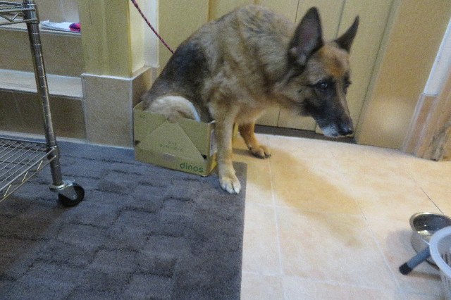 ファイル 6241-5.jpg