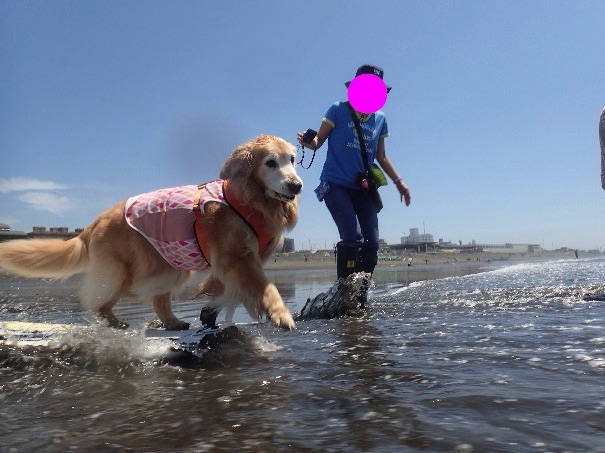 ファイル 6242-4.jpg