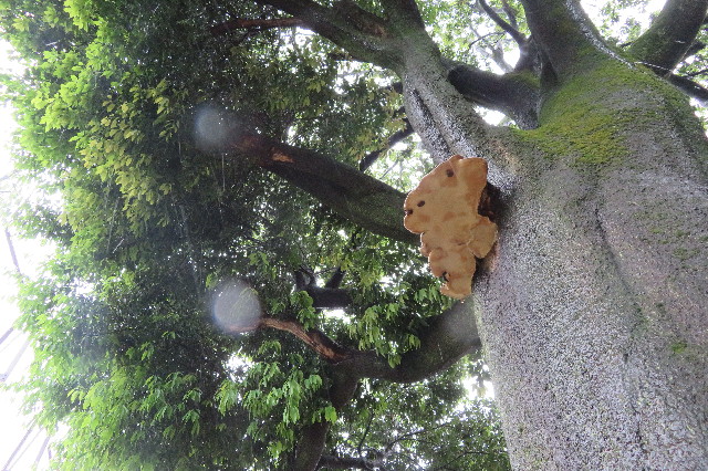 ファイル 6243-3.jpg