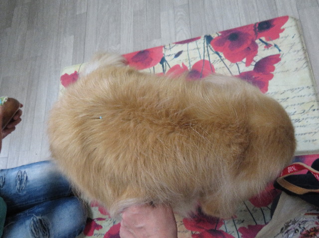 ファイル 6249-2.jpg