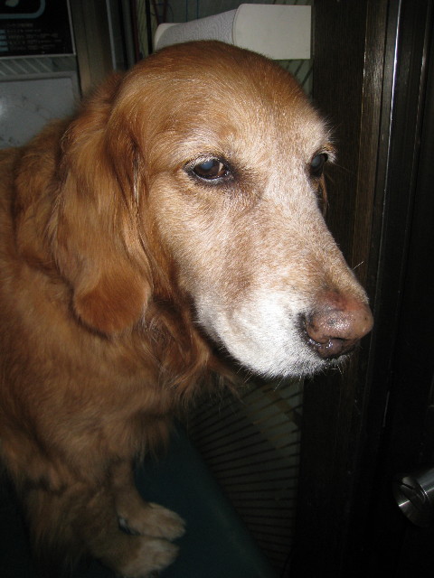 ファイル 625-5.jpg