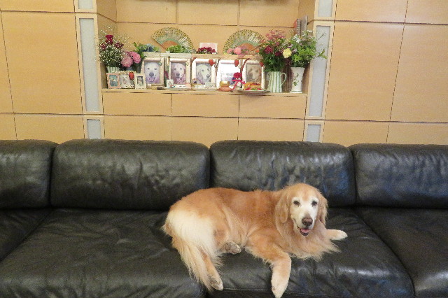 ファイル 6250-5.jpg