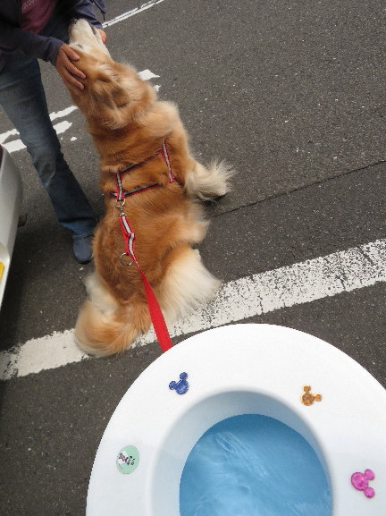 ファイル 6252-3.jpg