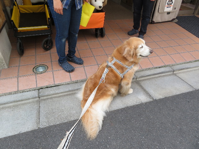 ファイル 6254-2.jpg