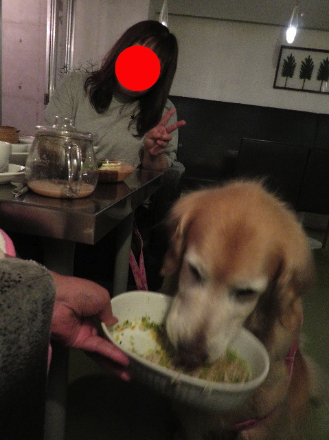 ファイル 6255-1.jpg