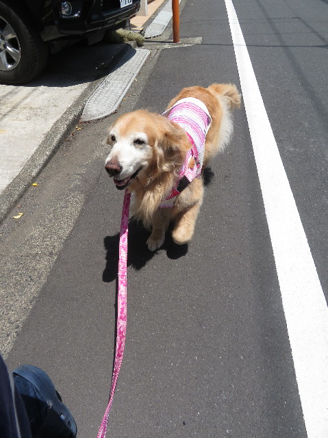 ファイル 6257-1.jpg