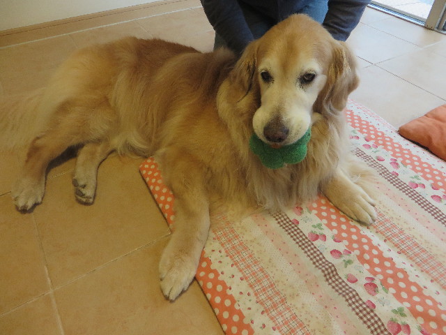 ファイル 6263-2.jpg