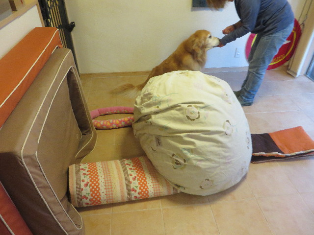 ファイル 6263-3.jpg