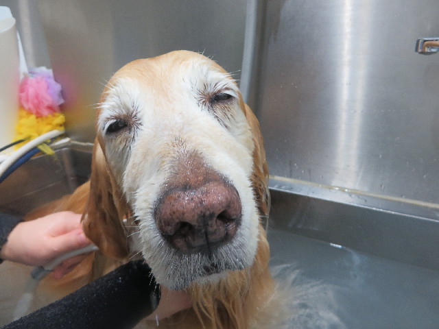 ファイル 6268-5.jpg