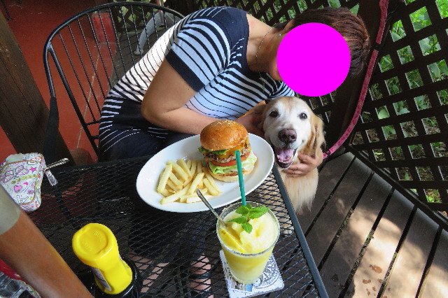 ファイル 6269-3.jpg