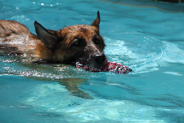 ファイル 6270-4.jpg