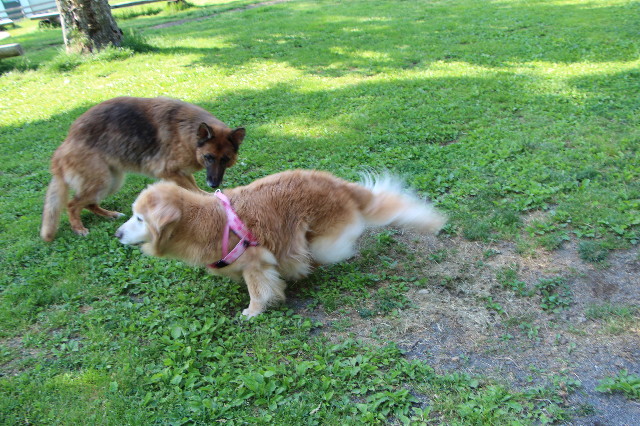 ファイル 6271-5.jpg