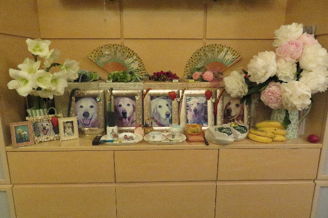 ファイル 6277-1.jpg