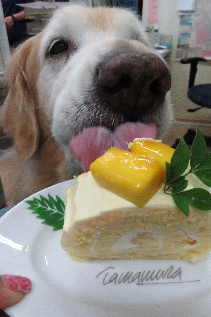 ファイル 6277-5.jpg