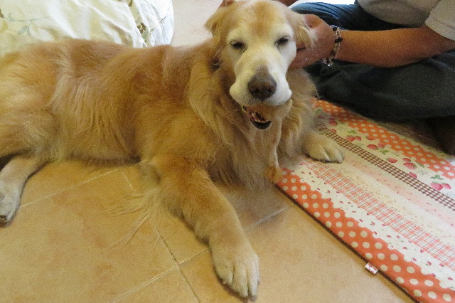 ファイル 6278-4.jpg