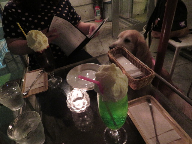 ファイル 6279-5.jpg