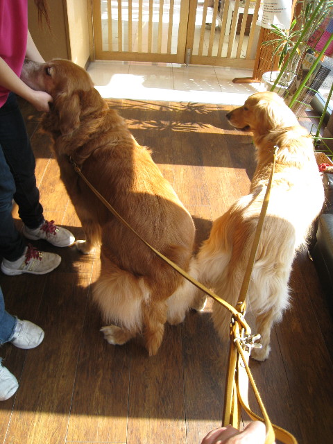 ファイル 628-1.jpg