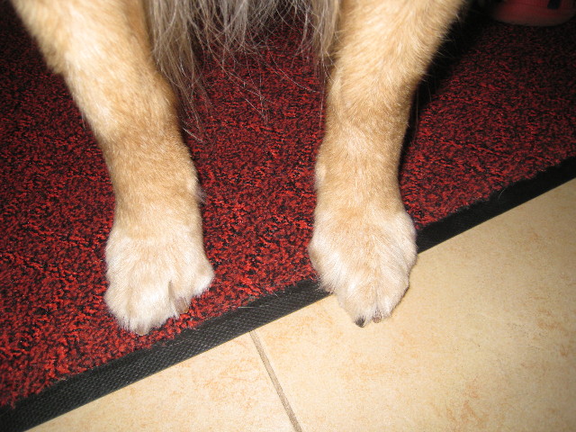 ファイル 628-3.jpg