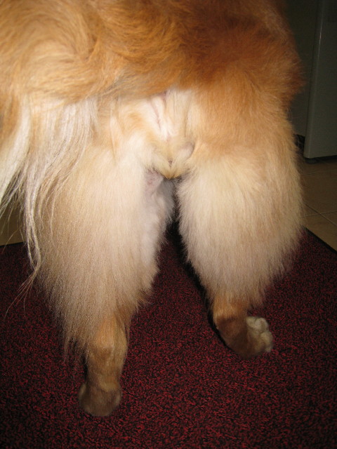 ファイル 628-4.jpg