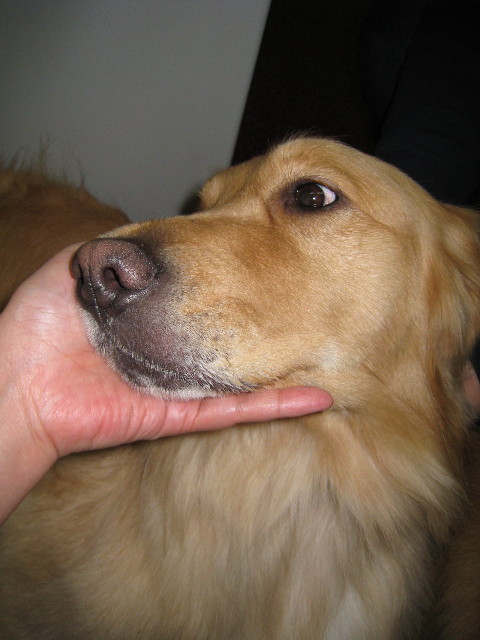 ファイル 628-5.jpg