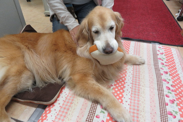 ファイル 6283-4.jpg