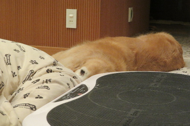 ファイル 6285-1.jpg