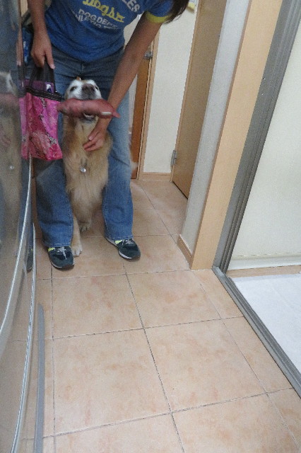 ファイル 6286-5.jpg