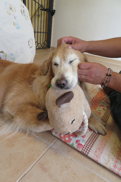 ファイル 6287-4.jpg