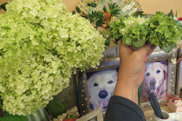 ファイル 6288-2.jpg