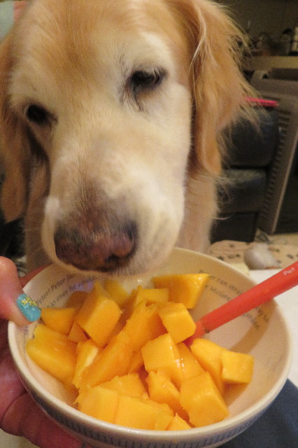 ファイル 6288-3.jpg