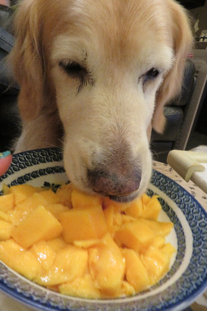 ファイル 6289-1.jpg