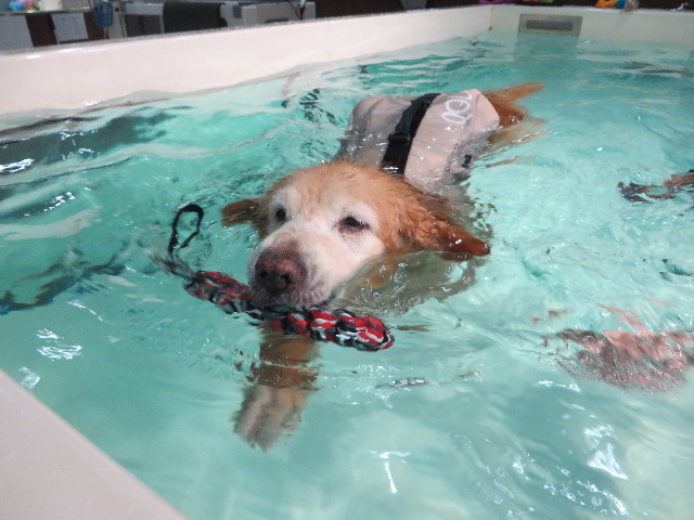 ファイル 6289-4.jpg