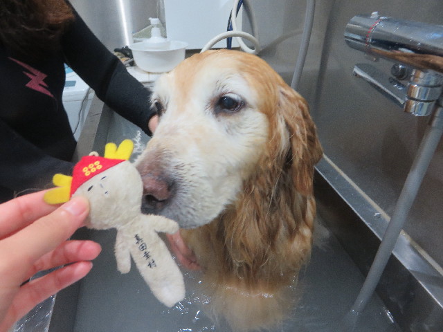 ファイル 6289-5.jpg