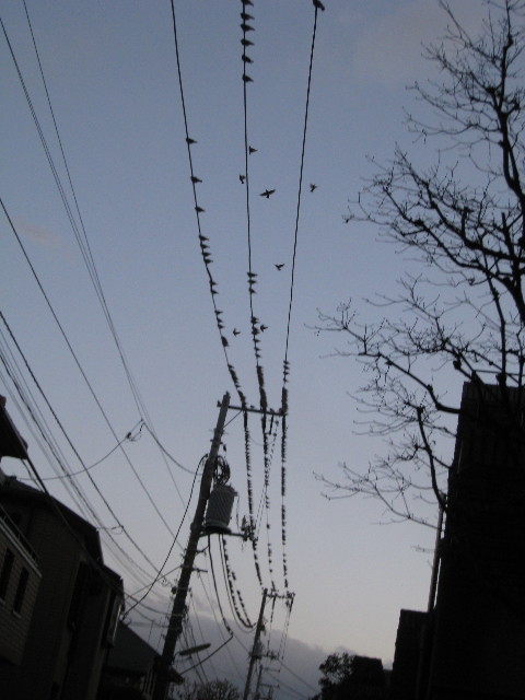 ファイル 629-3.jpg