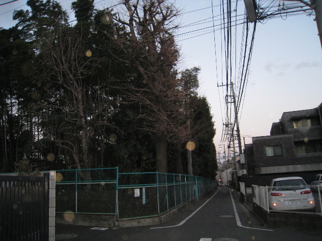 ファイル 629-5.jpg