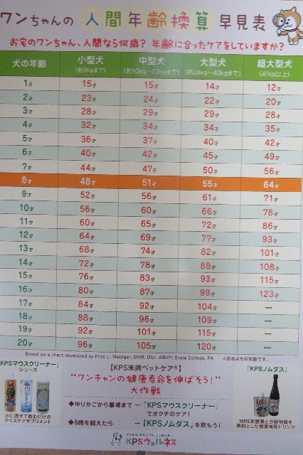 ファイル 6297-1.jpg