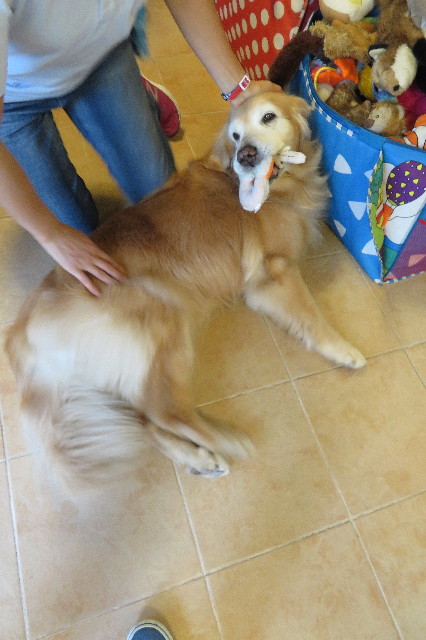 ファイル 6297-2.jpg